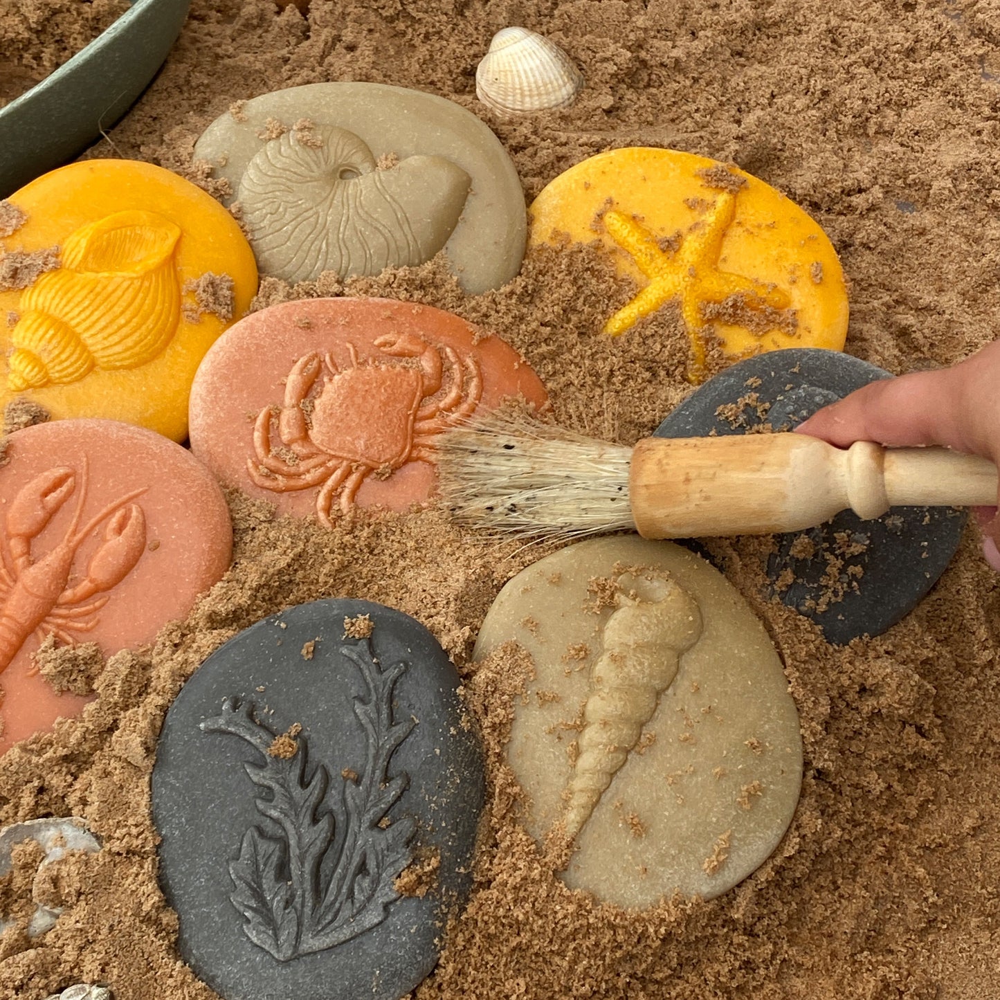 Stopy morské živočíchy