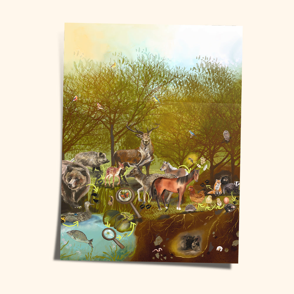 Magnetická stavebnica COLORMAG CLEAR