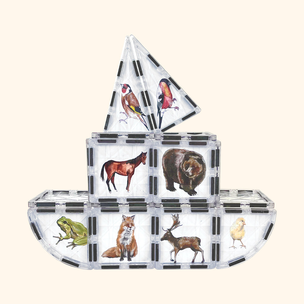 Magnetická stavebnica COLORMAG CLEAR