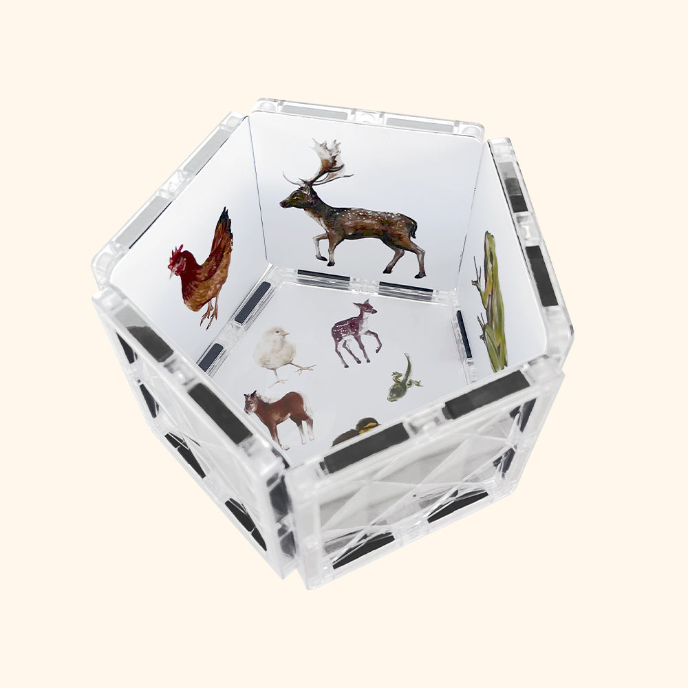 Magnetická stavebnica COLORMAG CLEAR