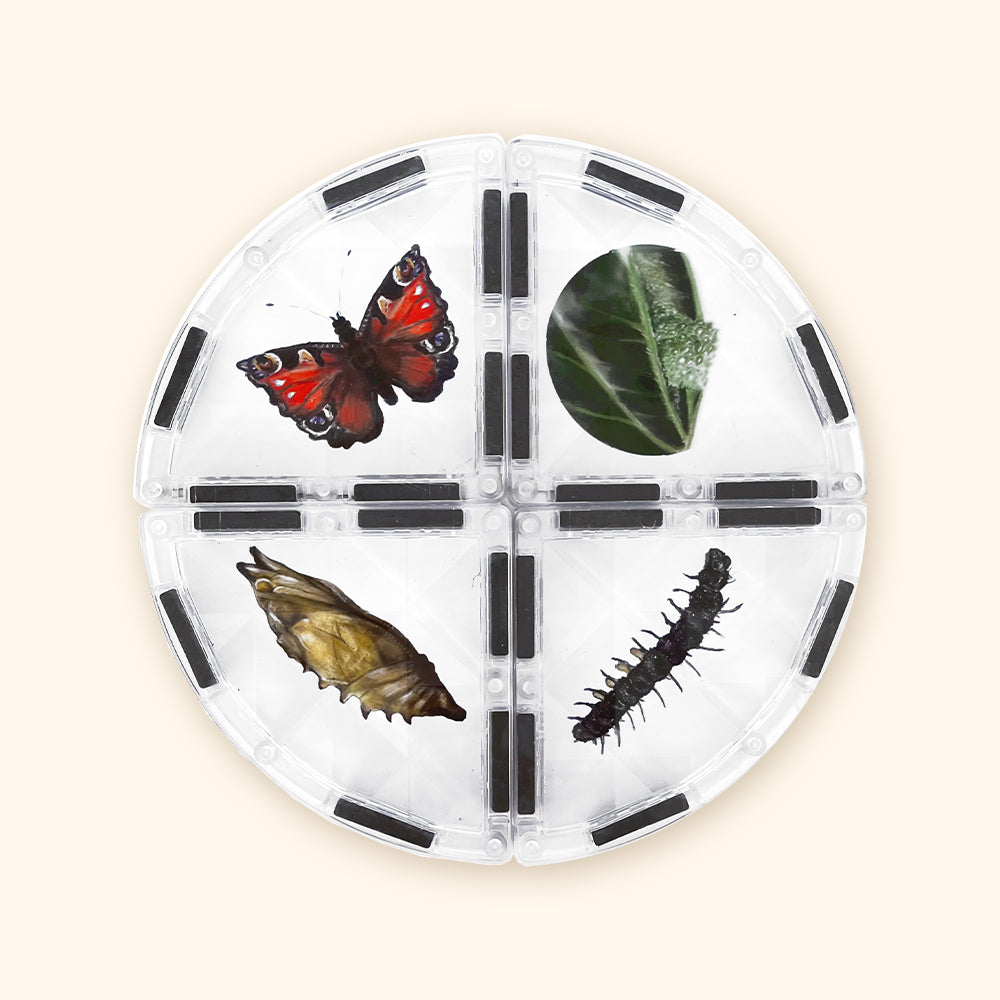 Magnetická stavebnica COLORMAG CLEAR