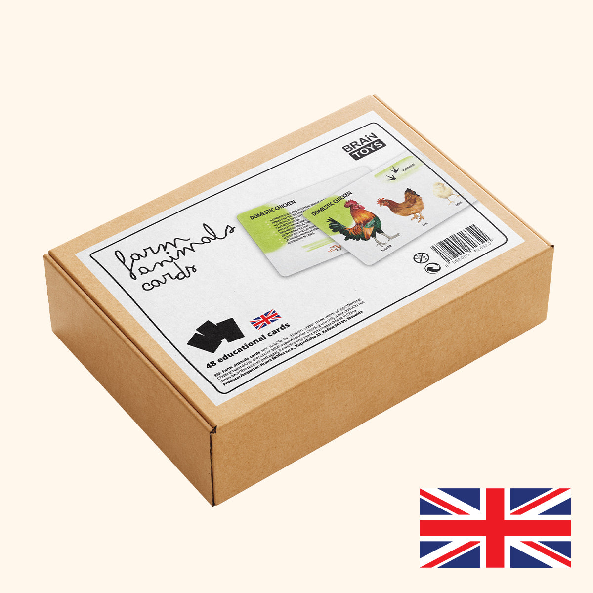 Sada edukačných kariet domáce zvieratá EN