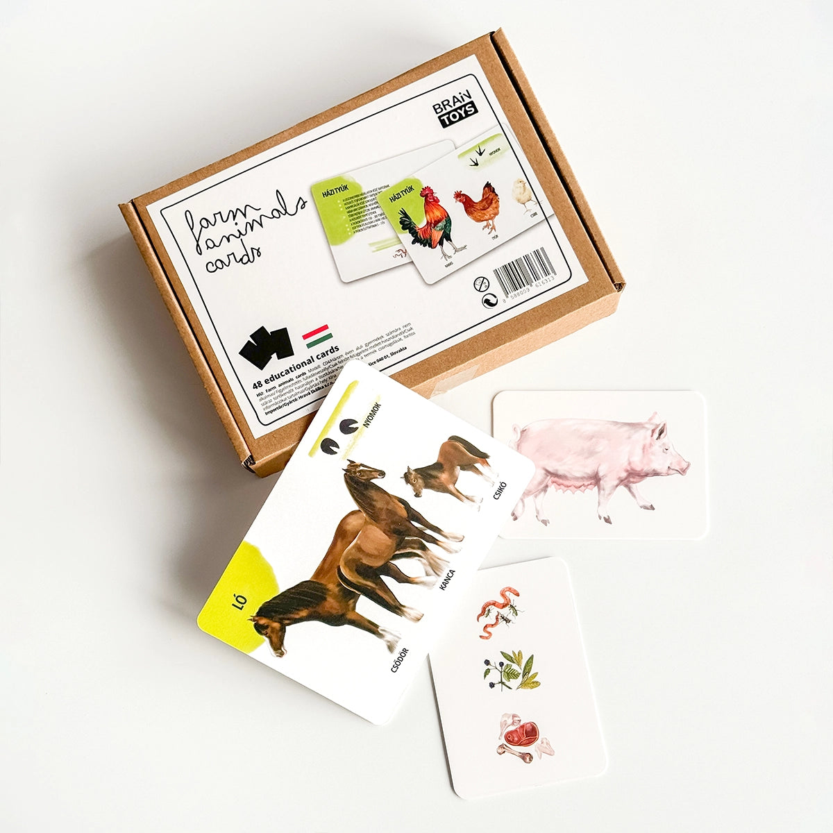 Sada edukačných kariet domáce zvieratá HU