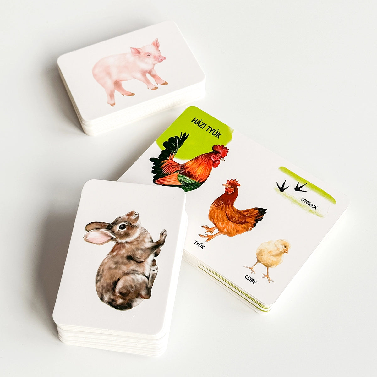 Sada edukačných kariet domáce zvieratá HU
