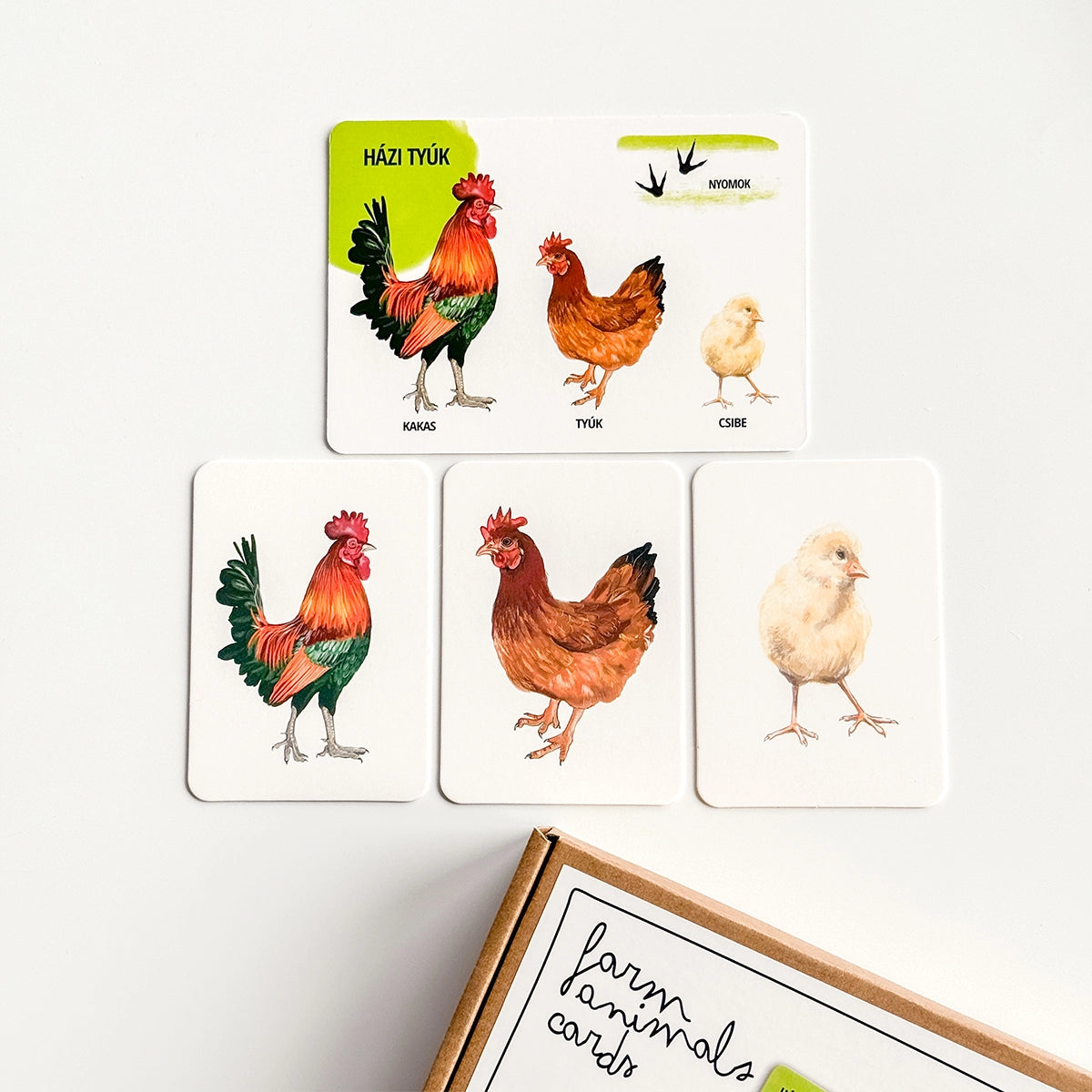 Sada edukačných kariet domáce zvieratá HU