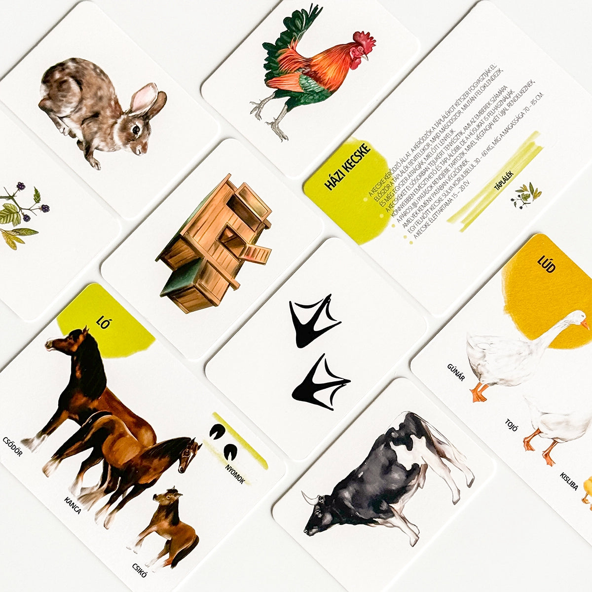 Sada edukačných kariet domáce zvieratá HU