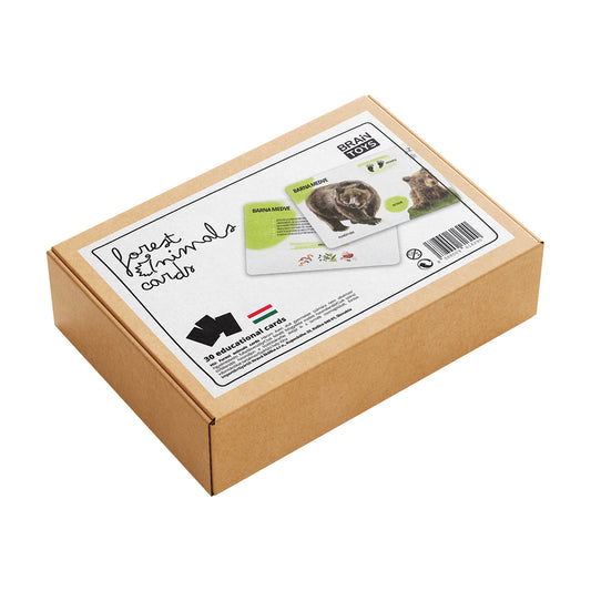 Sada edukačných kariet lesné zvieratá HU