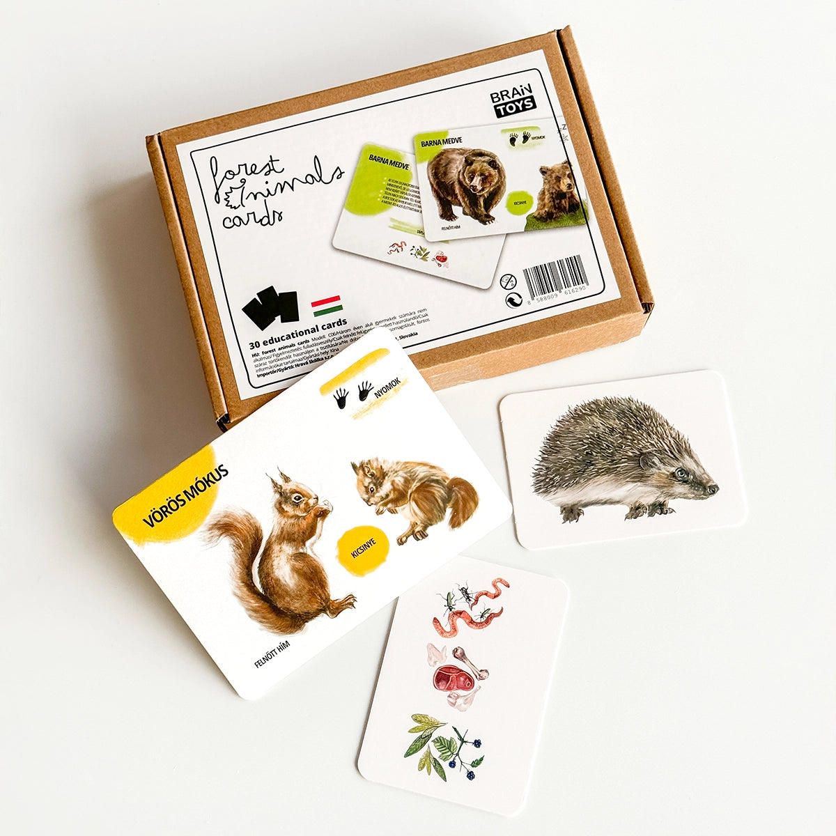 Sada edukačných kariet lesné zvieratá HU