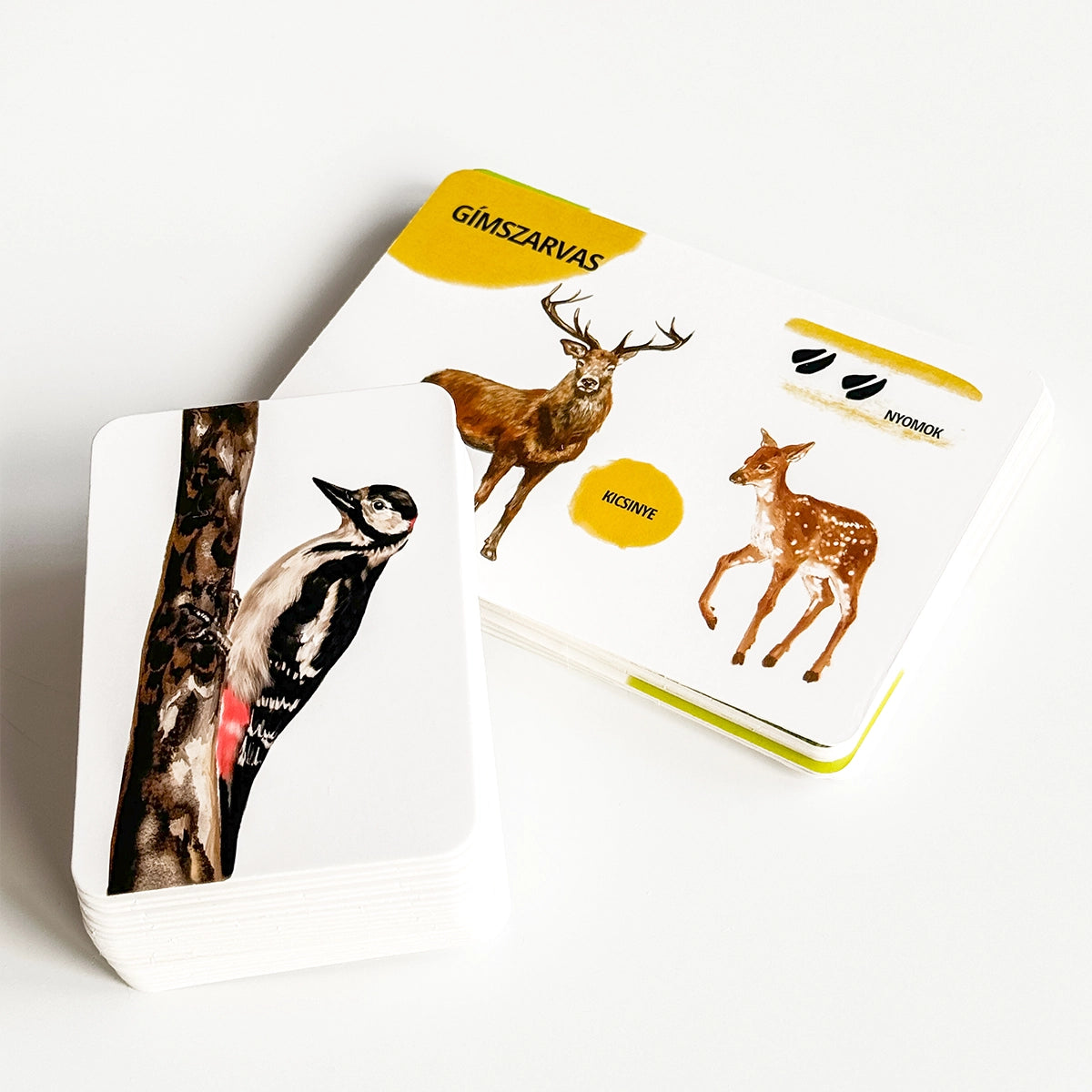 Sada edukačných kariet lesné zvieratá HU