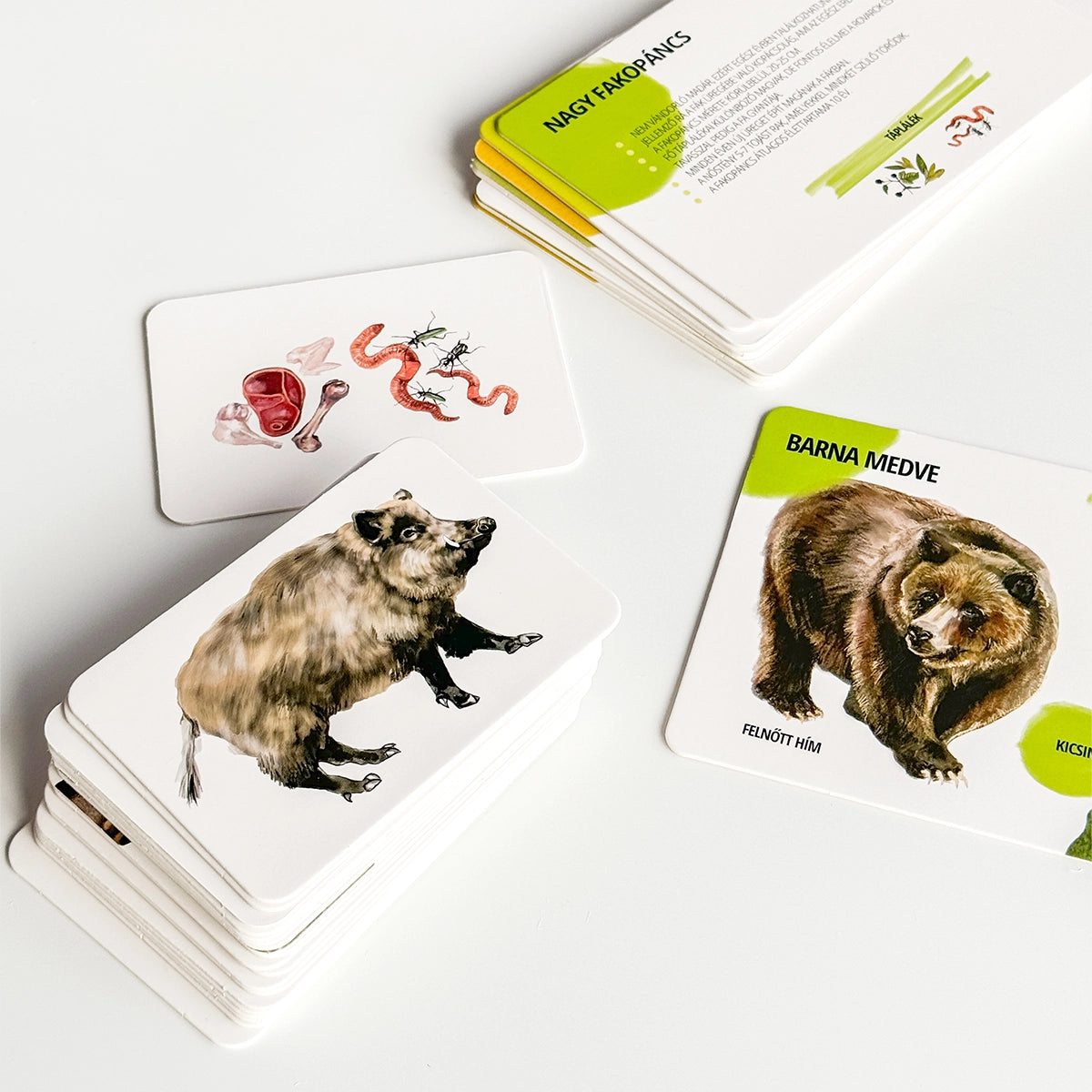 Sada edukačných kariet lesné zvieratá HU