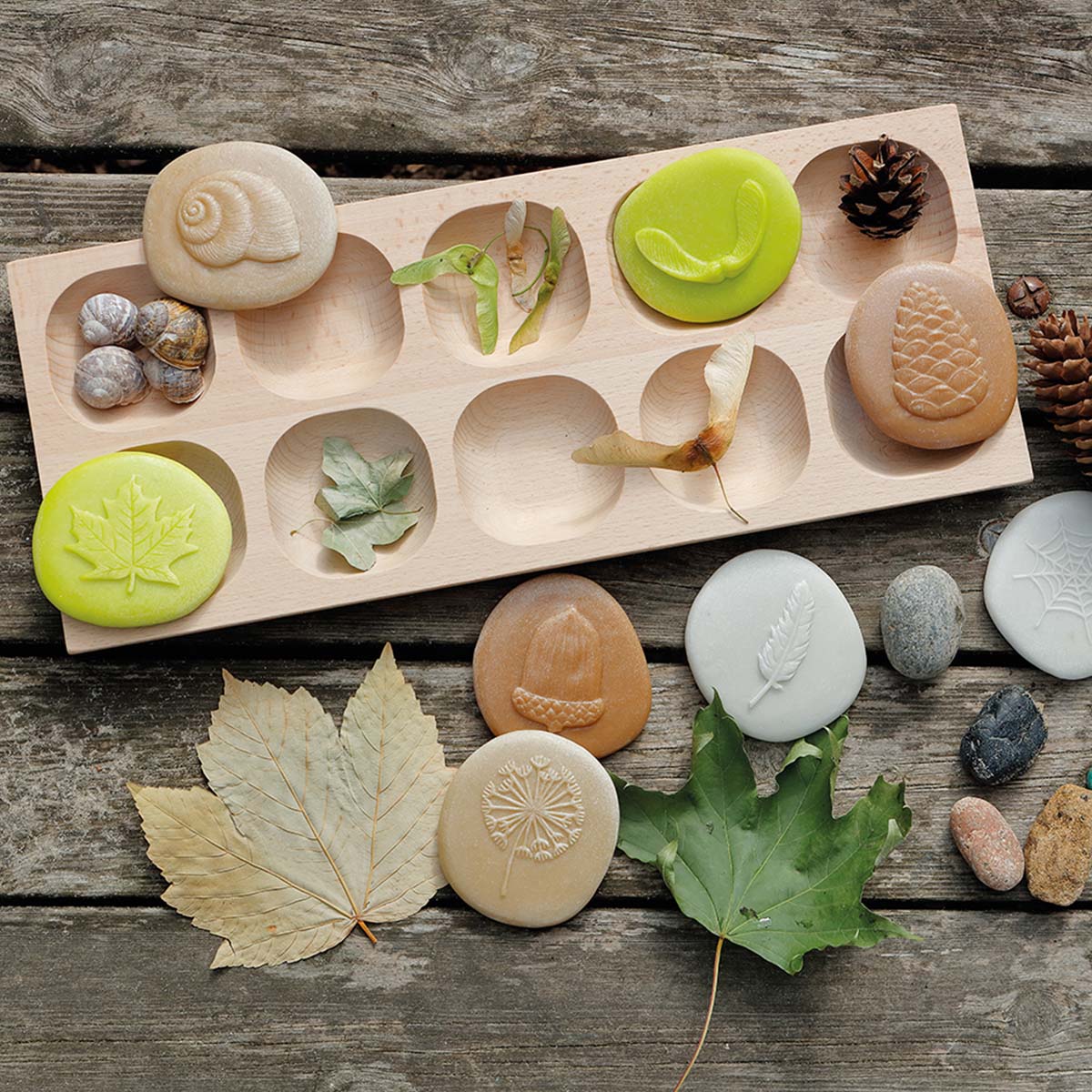 kamenné odliatky slimačej ulity, listu a semien platana, pierka, šišky, žalude a púpavy na triediacej doske vedľa reálnych plodov listov a slimačích ulít
