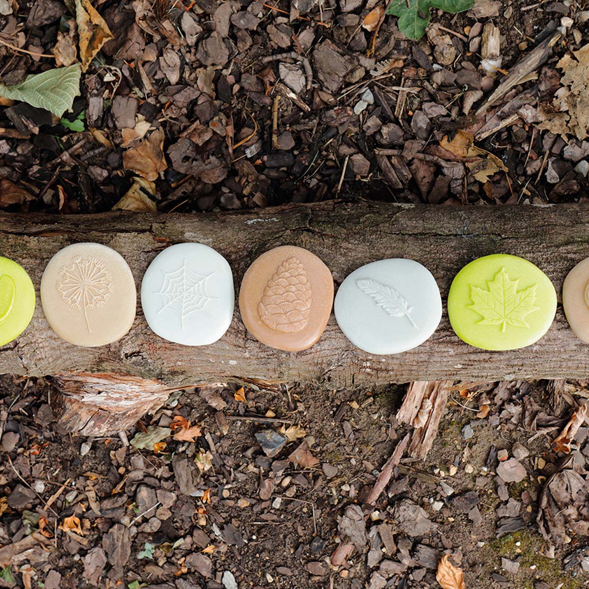 kamenné odliatky lesných plodov uložených vedľa seba na hrubom konári