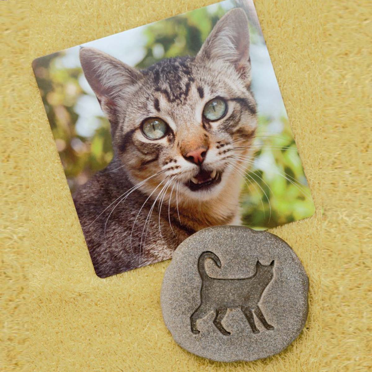 sivá mačka a jeho sivý kamenný odliatok