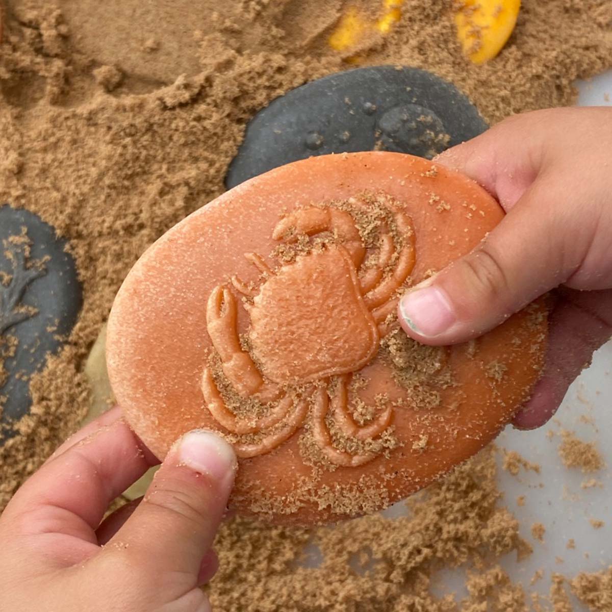 hnedý pieskom zenesený kamenný odliatok kraba v rukách dieťaťa