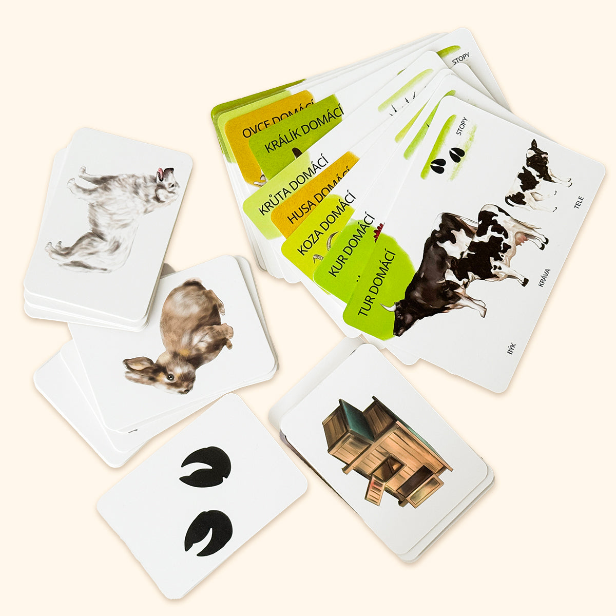 Sada edukačných kariet domáce zvieratá CZ