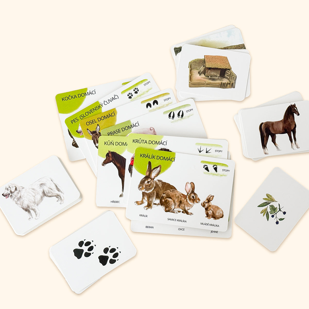 Sada edukačných kariet domáce zvieratá CZ