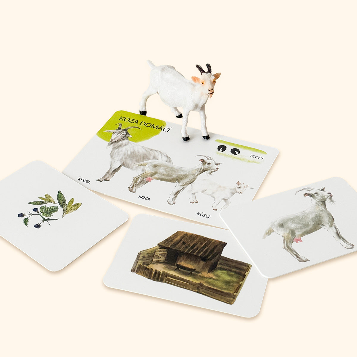 Sada edukačných kariet domáce zvieratá CZ