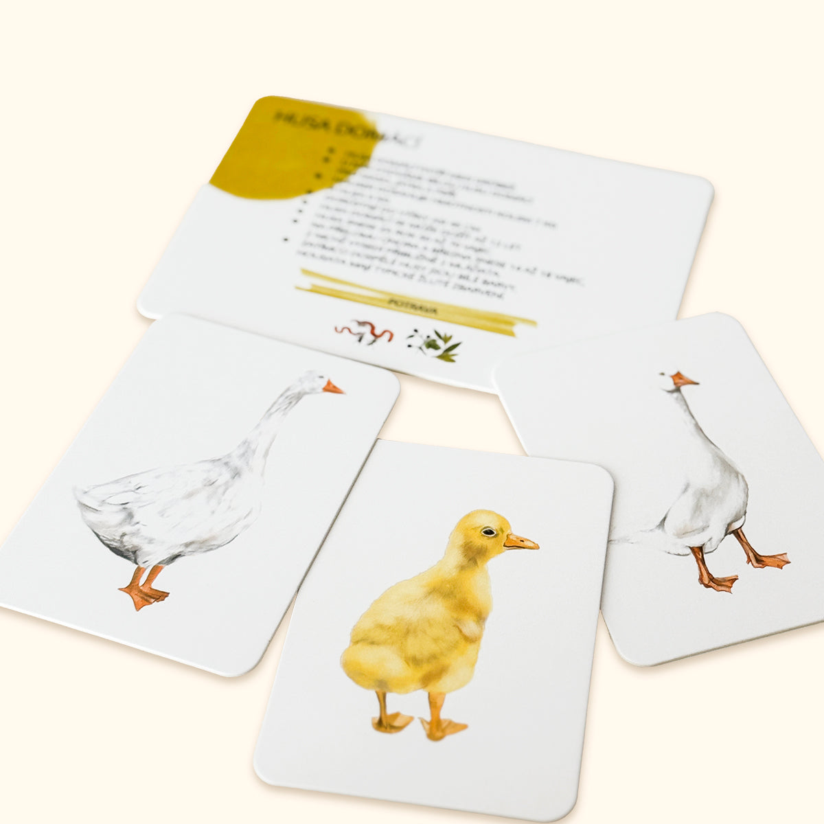 Sada edukačných kariet domáce zvieratá CZ