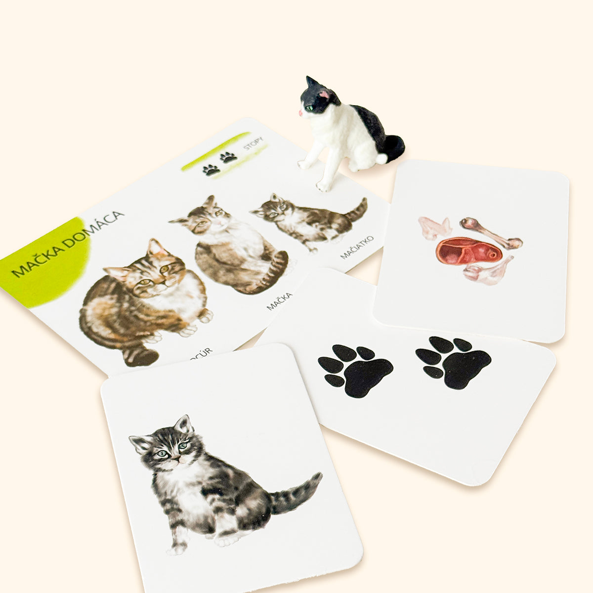 Sada edukačných kariet domáce zvieratá SK