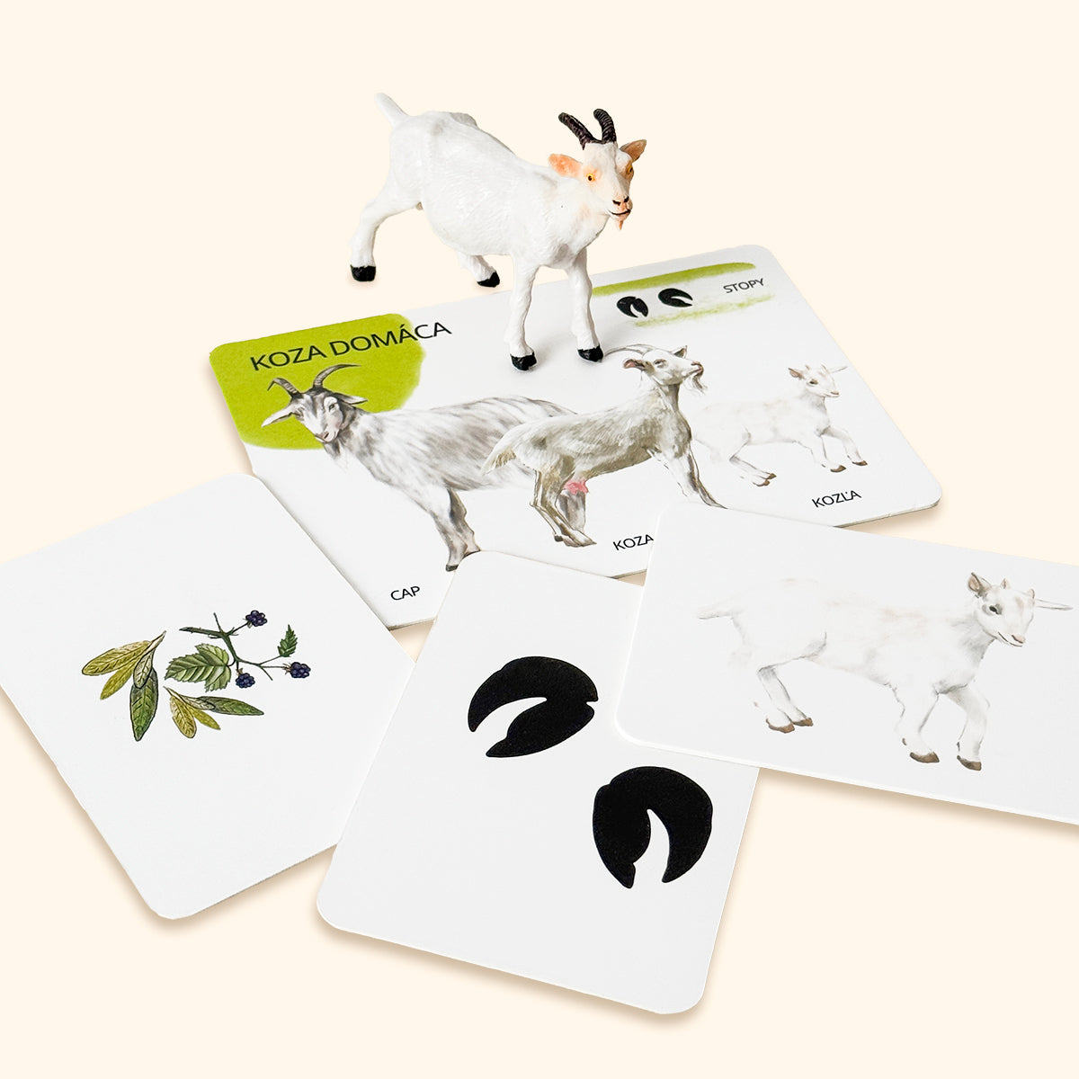 Sada edukačných kariet domáce zvieratá SK