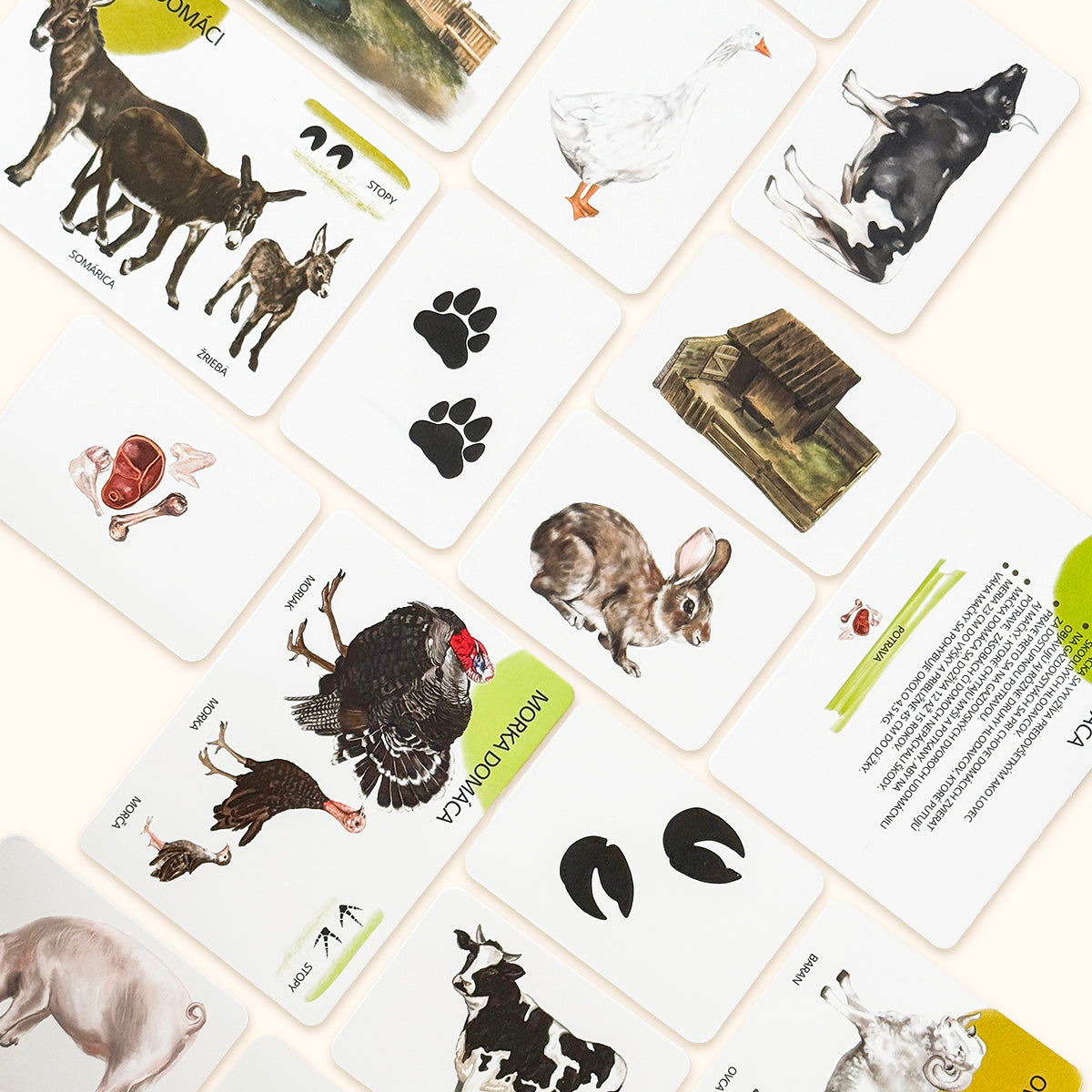 Sada edukačných kariet domáce zvieratá SK