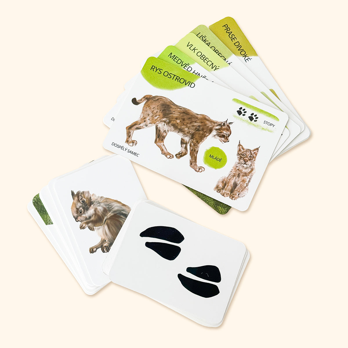 Sada edukačných kariet lesné zvieratá CZ