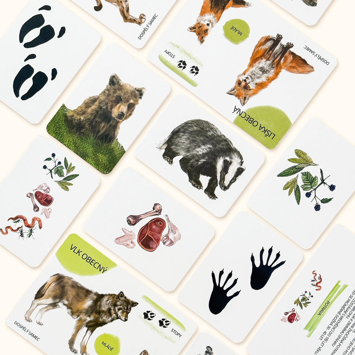 Sada edukačných kariet lesné zvieratá CZ