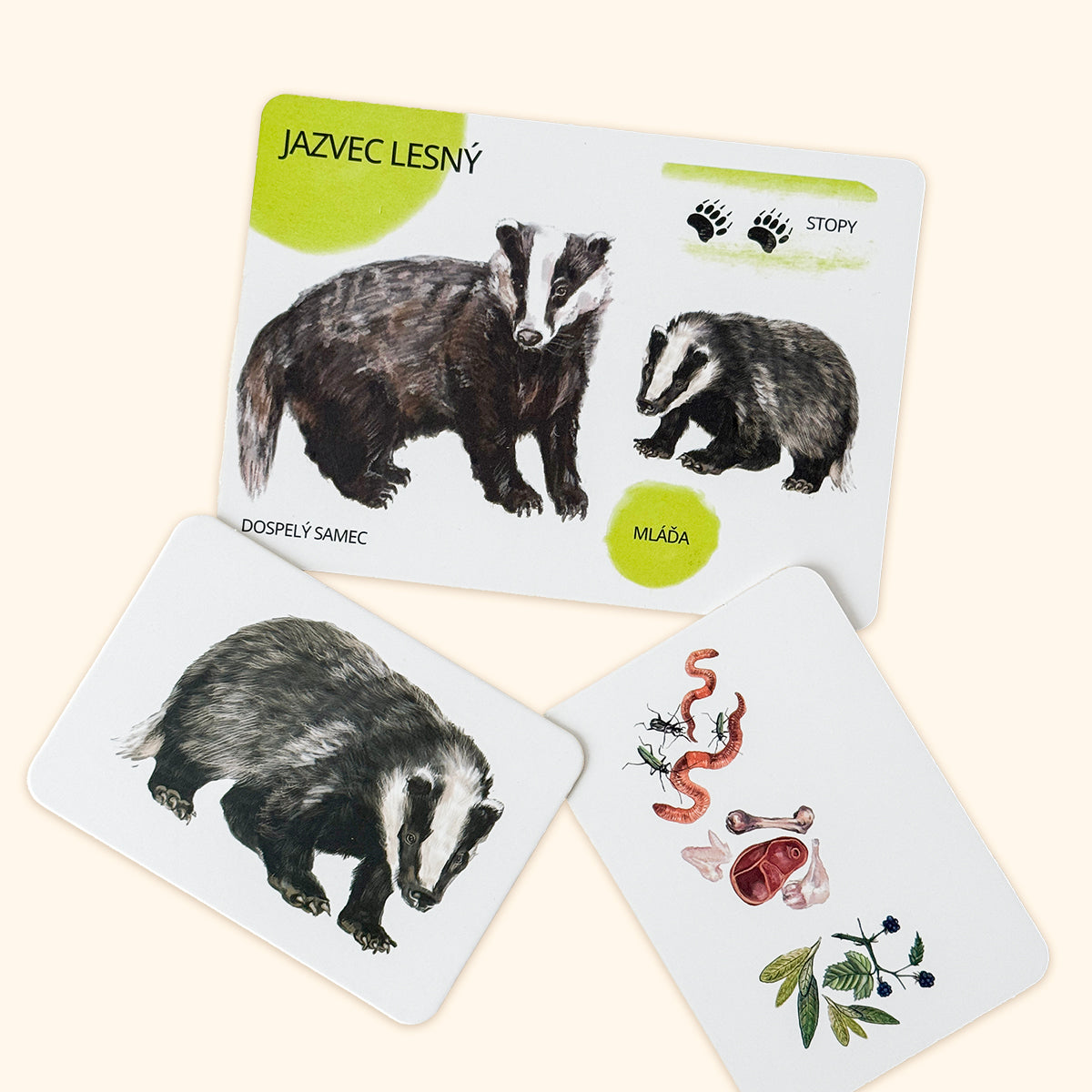 Sada edukačných kariet lesné zvieratá, SK