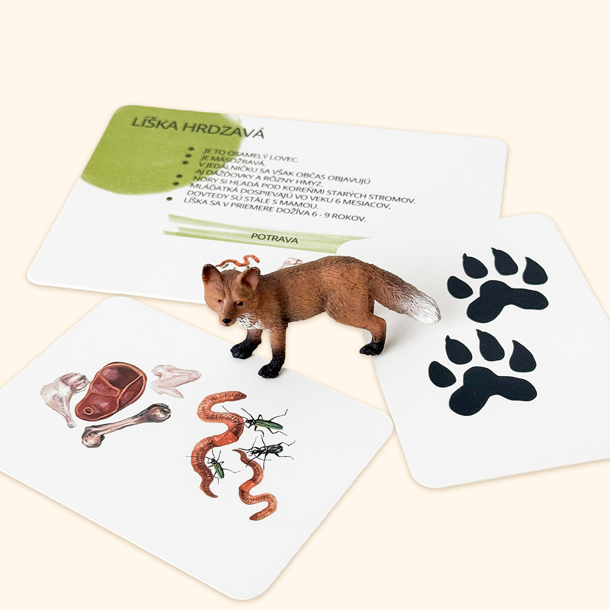 Sada edukačných kariet lesné zvieratá, SK