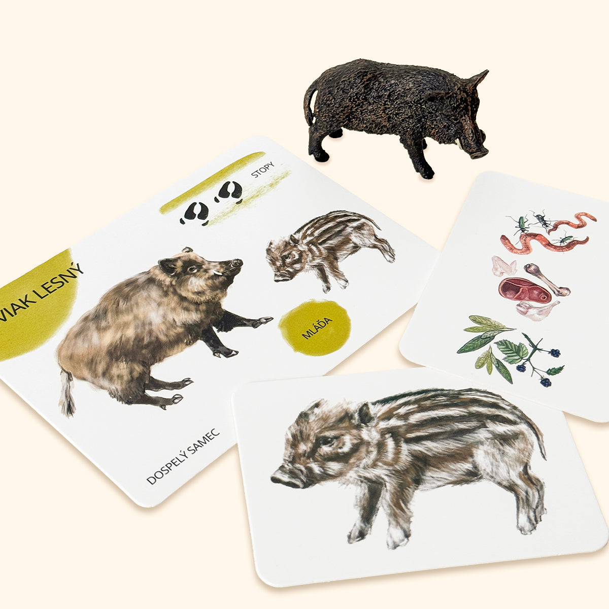Sada edukačných kariet lesné zvieratá, SK