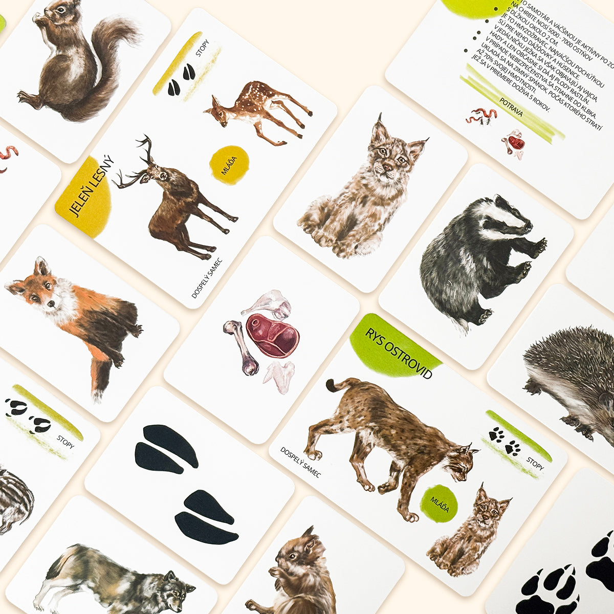 Sada edukačných kariet lesné zvieratá, SK