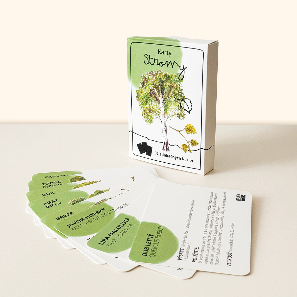 Karty - Stromy
