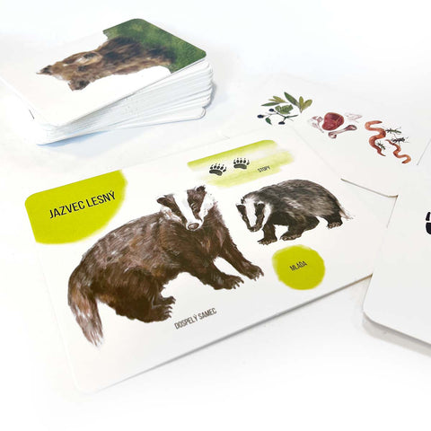 Set figúrok lesných zvierat a edukačných kariet