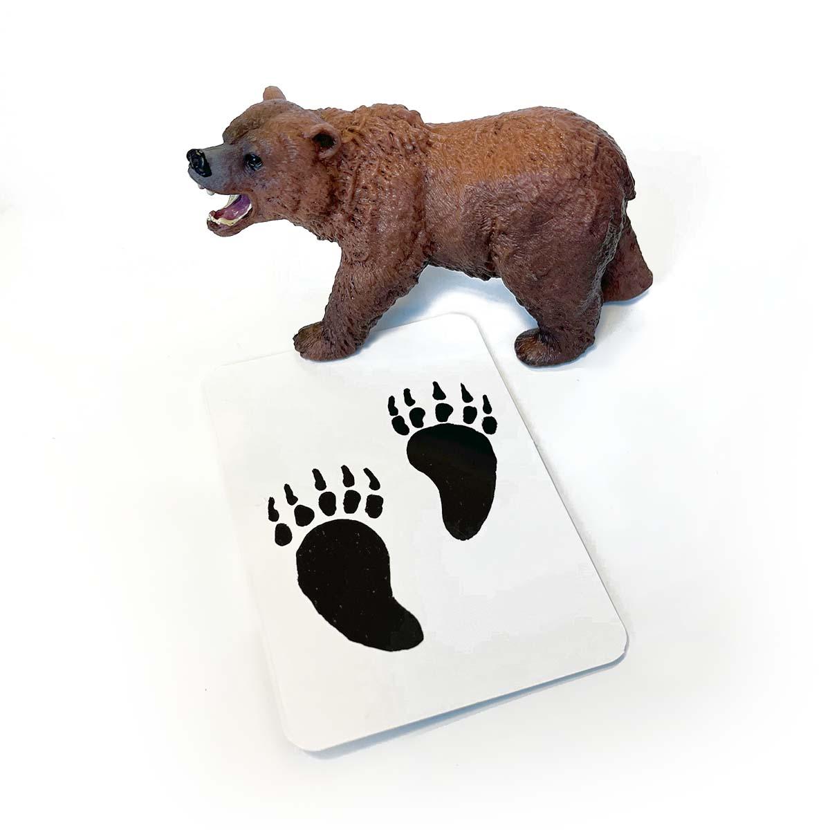 Set figúrok lesných zvierat