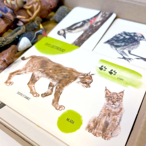 Set figúrok lesných zvierat a edukačných kariet