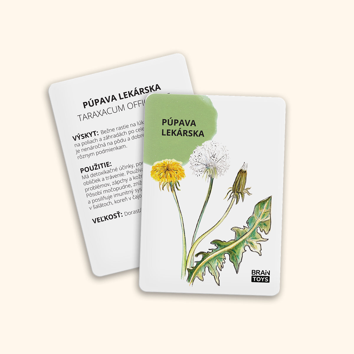 Karty - Bylinky