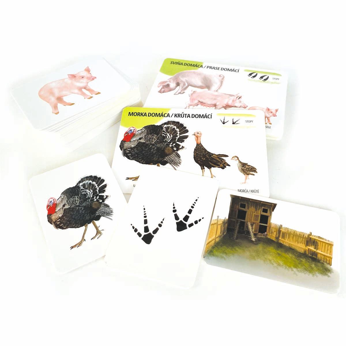 Sada edukačných kariet domáce zvieratá SK/CZ