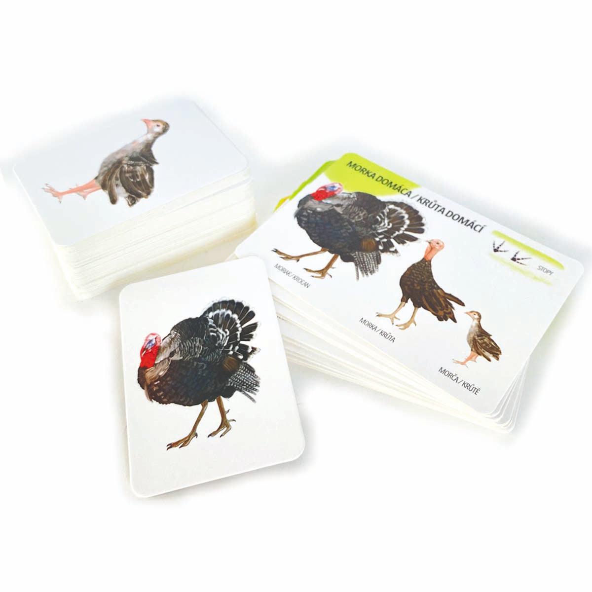 Sada edukačných kariet domáce zvieratá SK/CZ