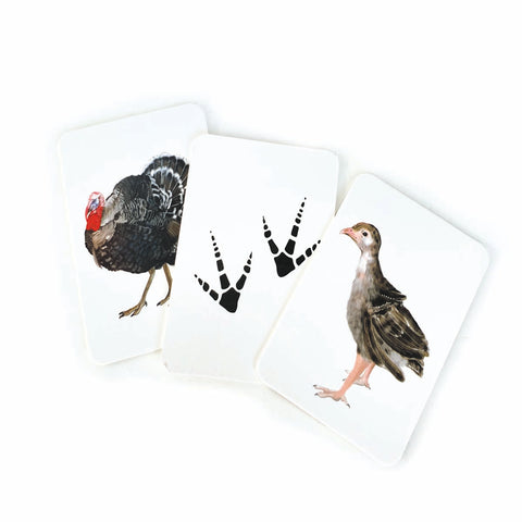 Sada edukačných kariet domáce zvieratá