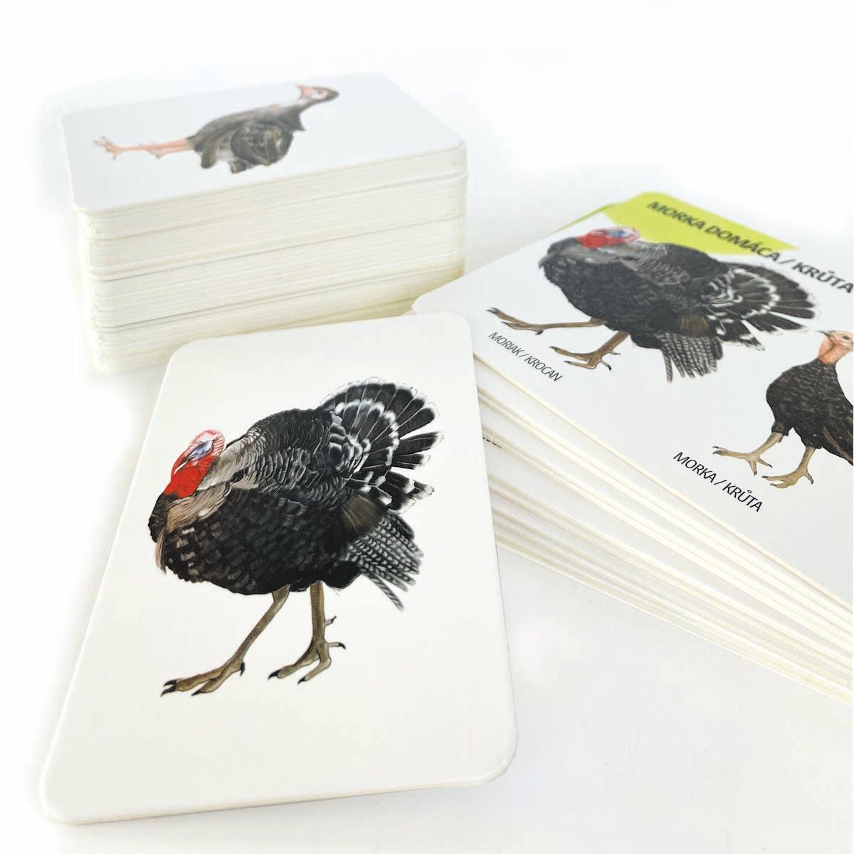 Sada edukačných kariet domáce zvieratá SK/CZ