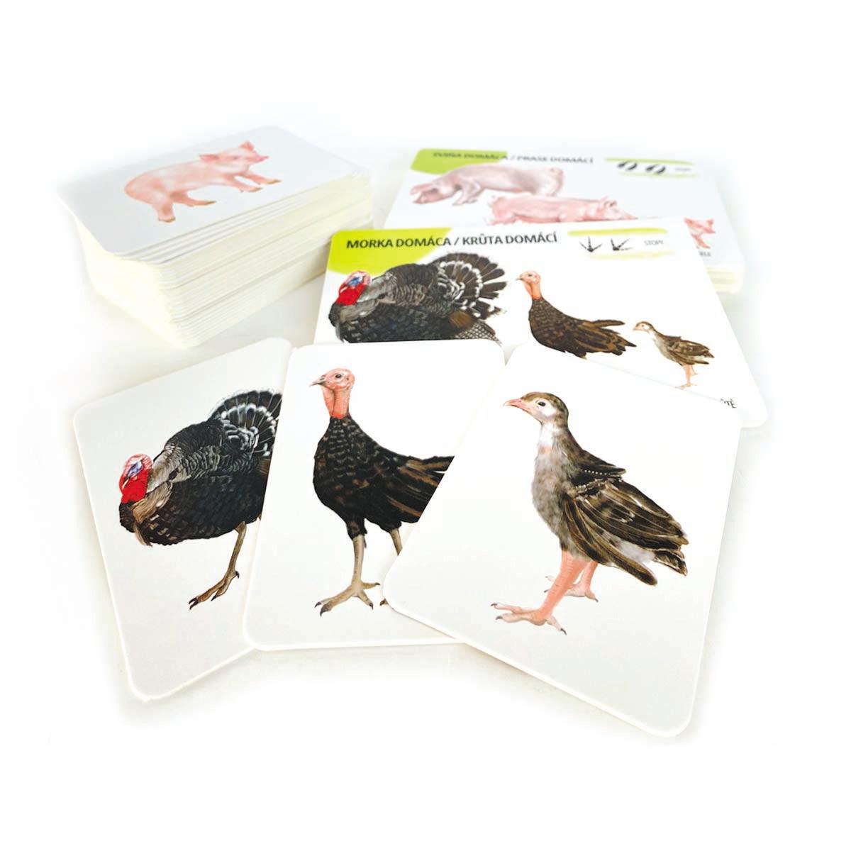 Sada edukačných kariet domáce zvieratá SK/CZ