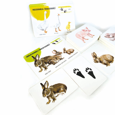 Sada edukačných kariet domáce zvieratá