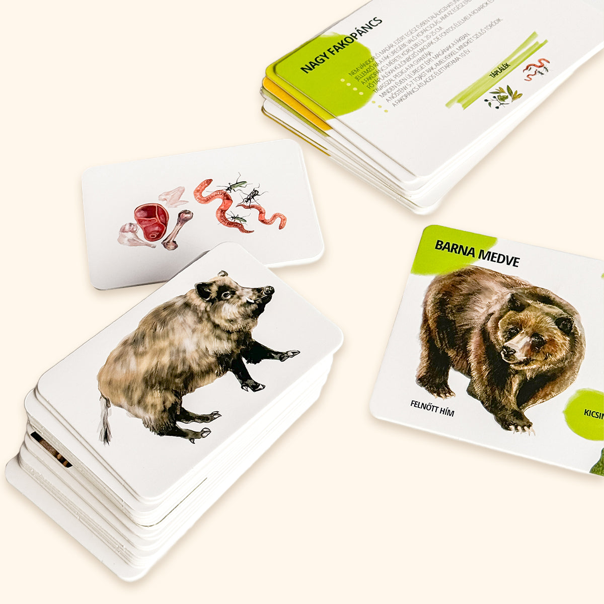 Sada edukačných kariet lesné zvieratá HU