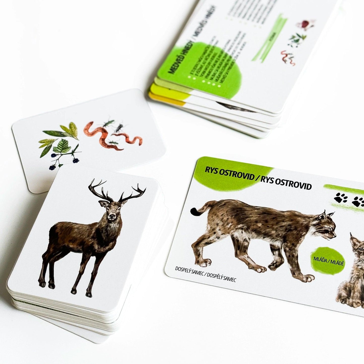 Balíček Lesné zvieratká -50%