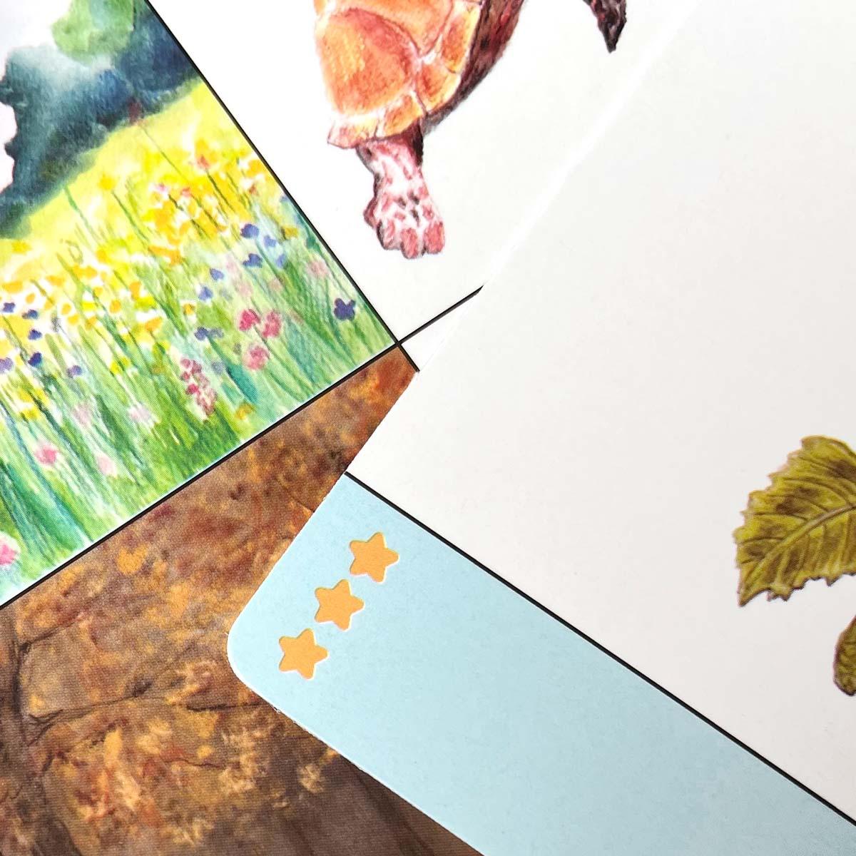 LOGIDOTS karty - Zvieratká