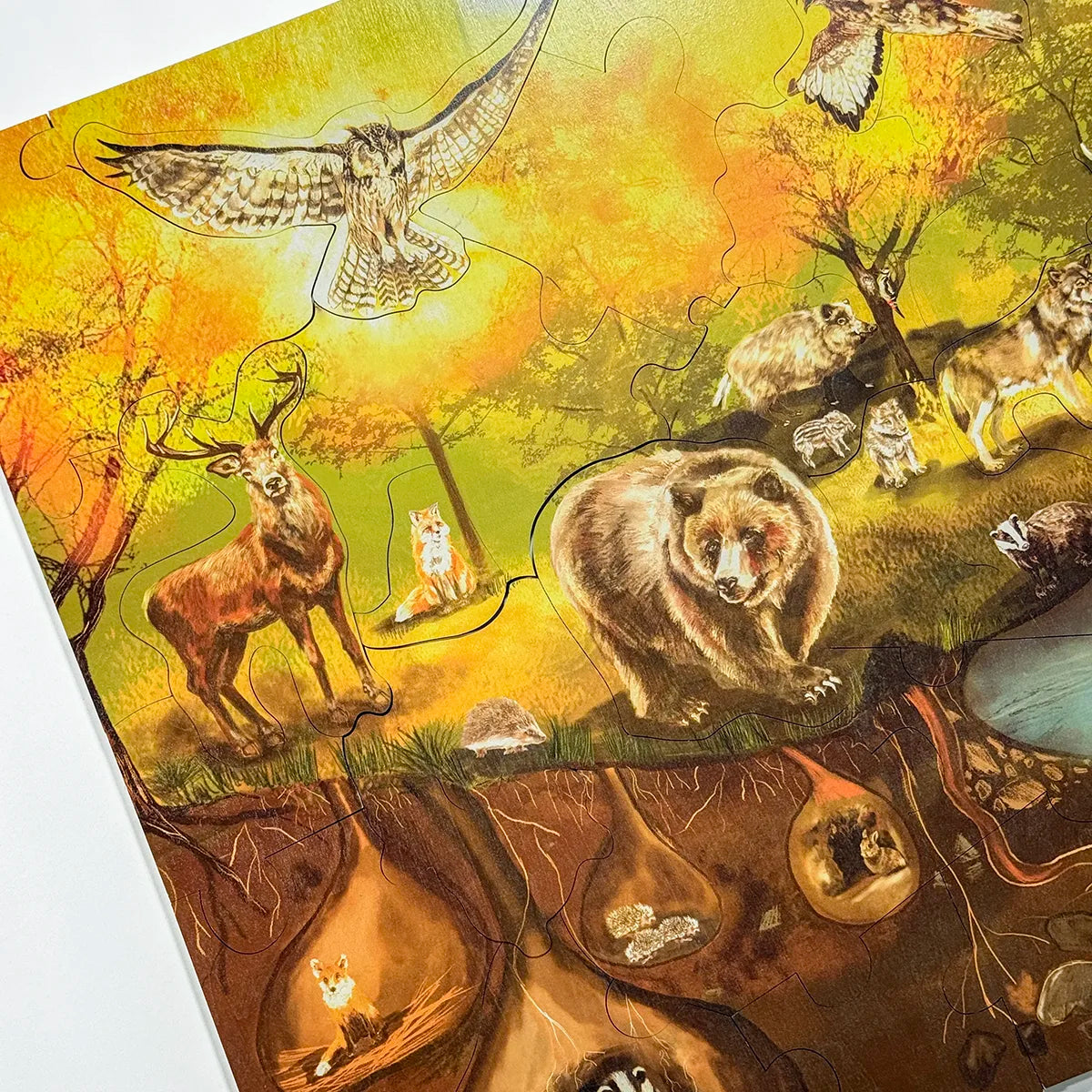 Podlahové puzzle - Les