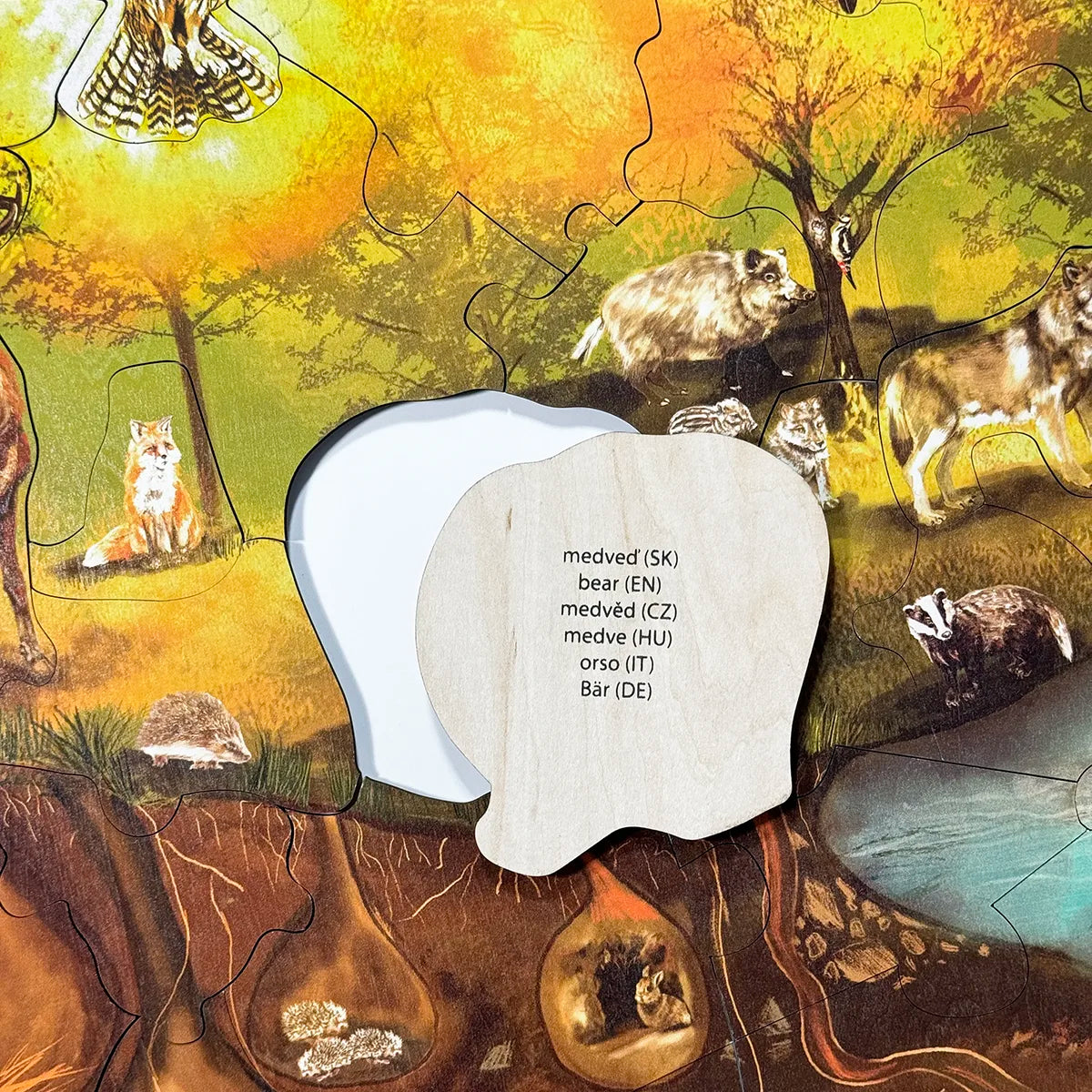 Podlahové puzzle - Les