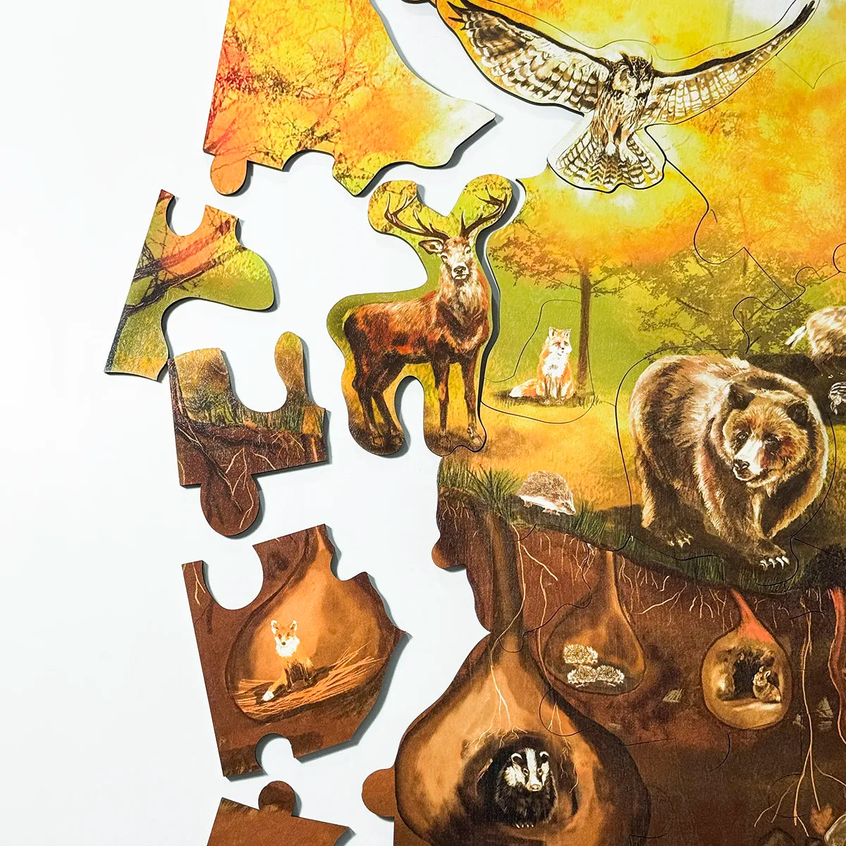 Podlahové puzzle - Les