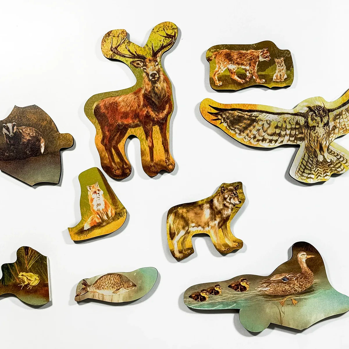 Podlahové puzzle - Les