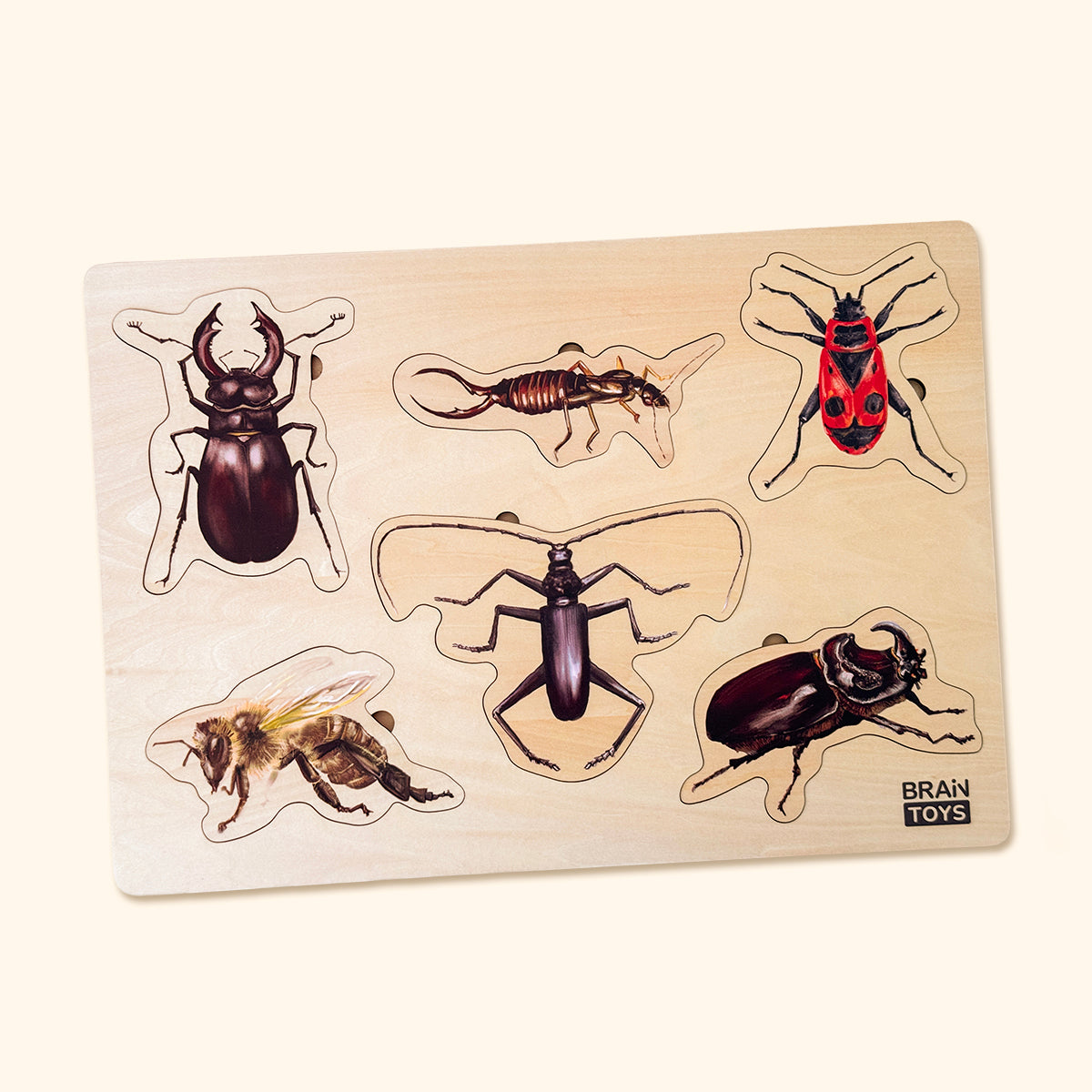Drevené puzzle - Hmyz